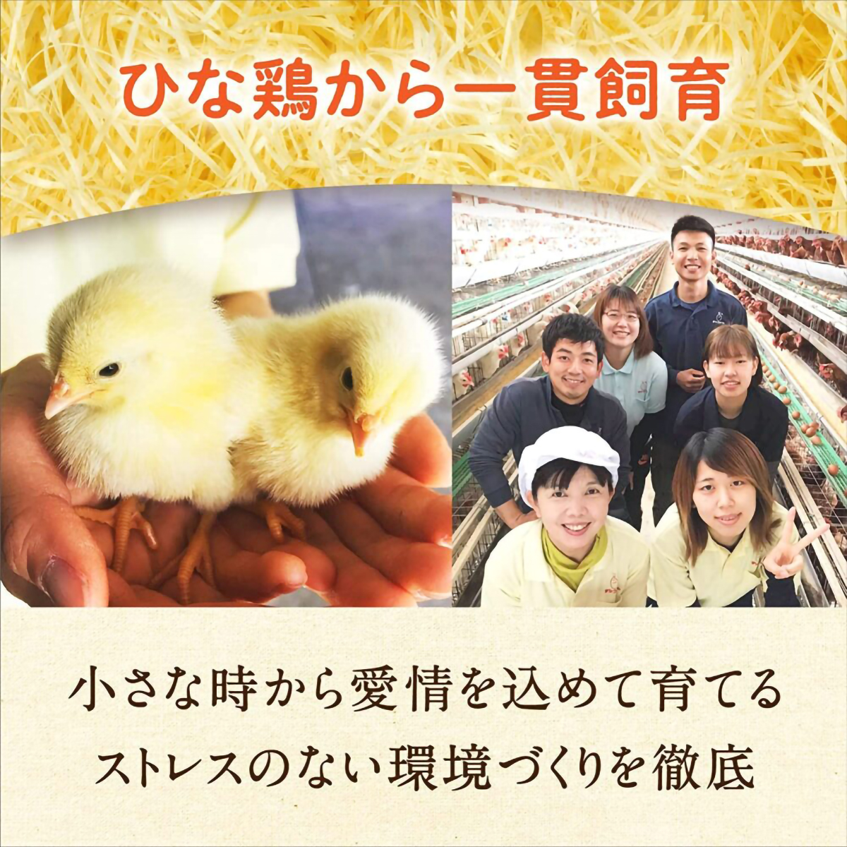 ひなたまこっこ生命のマヨネーズ 250gチューブ