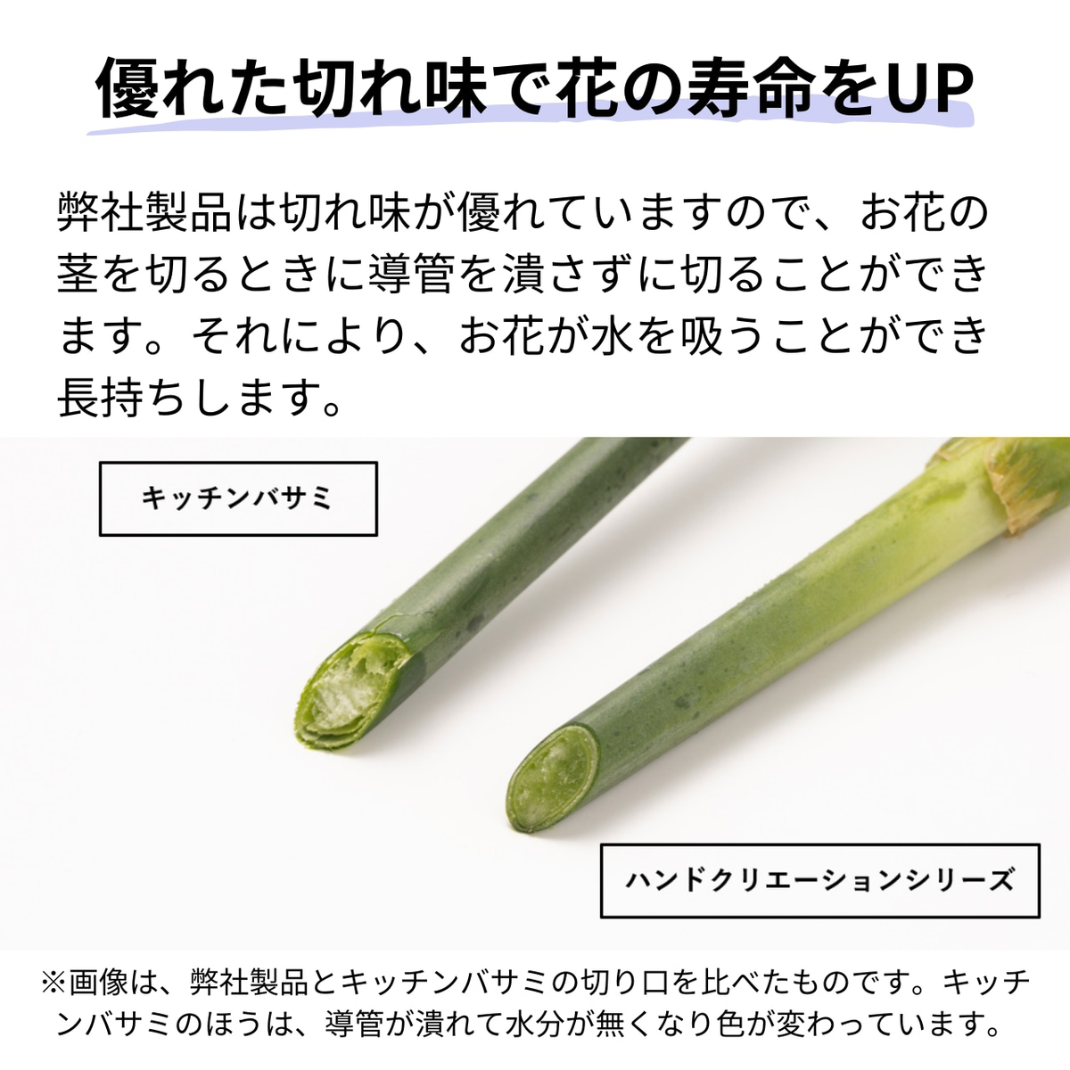 【ハンドクリエーション】生花・園芸用ハサミ