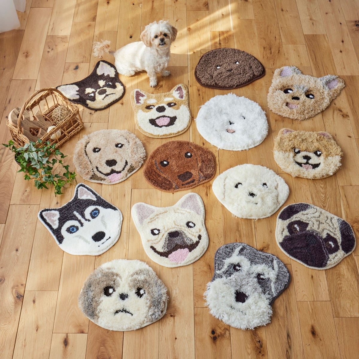 洗える イヌカオマット シュナウザー 滑り止め