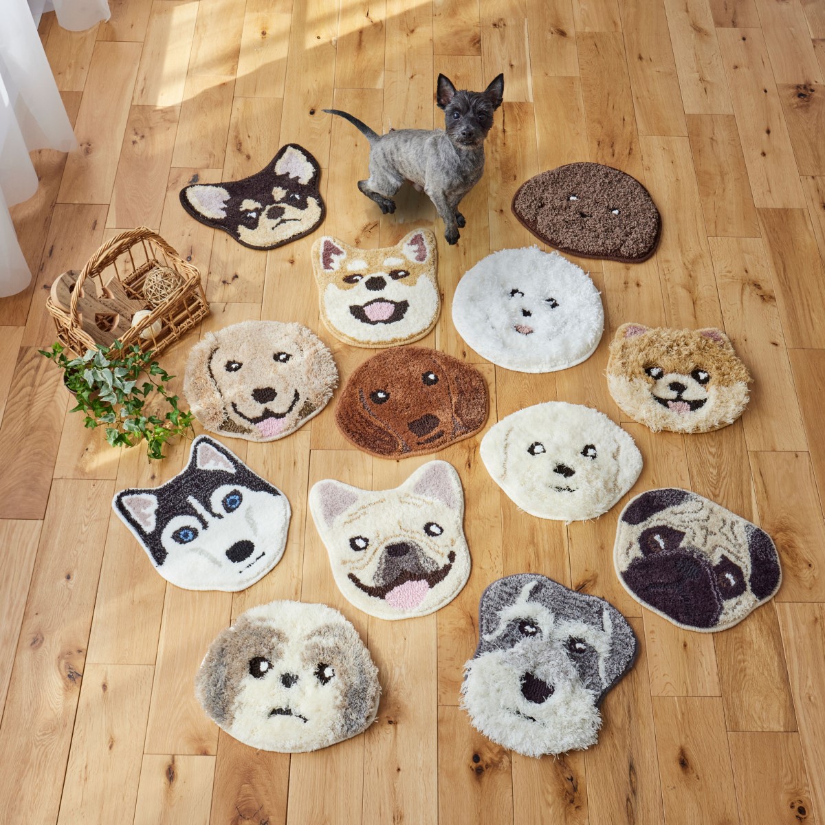 洗える イヌカオマット シーズー 滑り止め