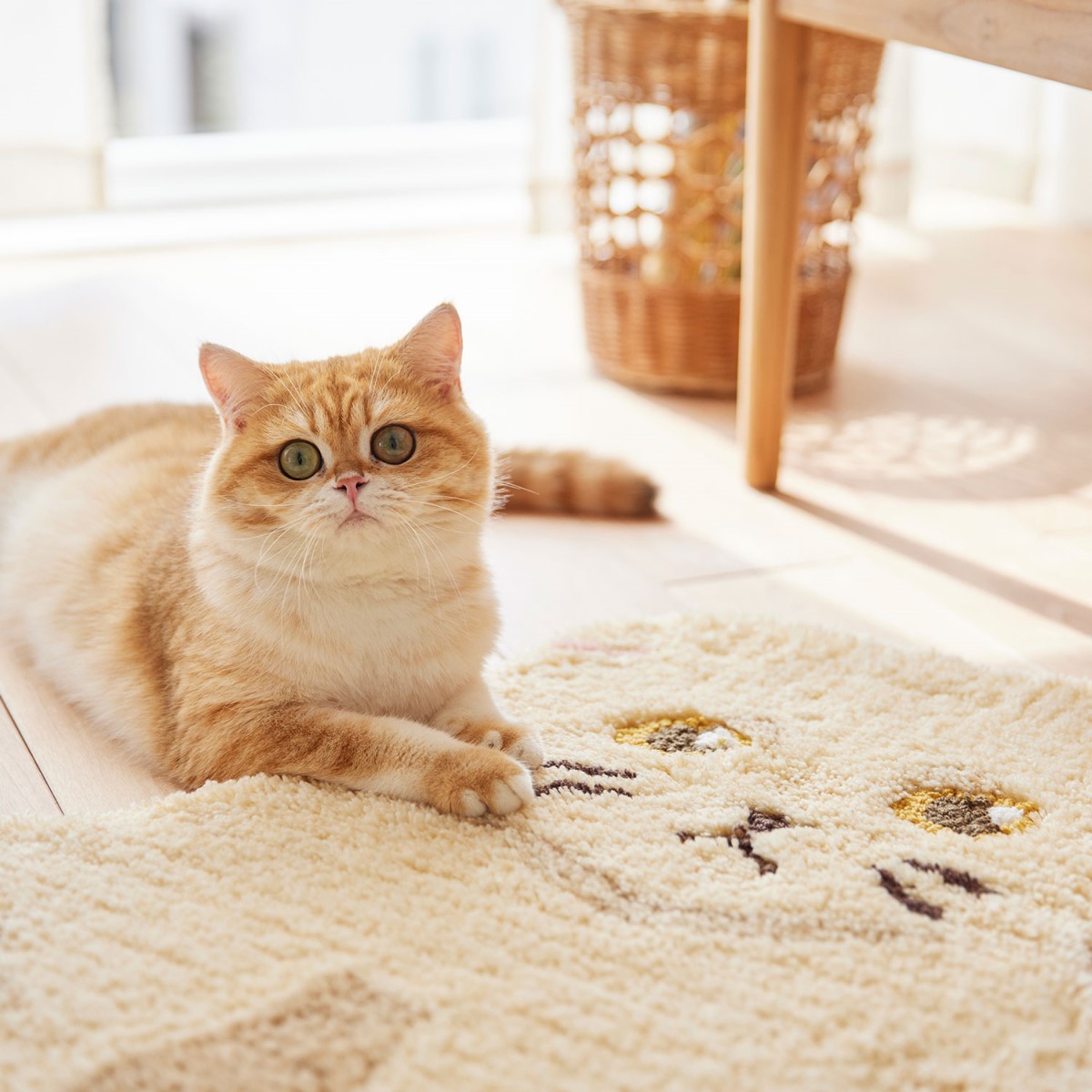 ネコマット スコスワリ クリーム 72×70cm