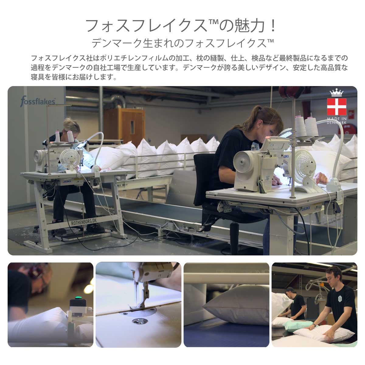 【フォスフレイクス】ロイヤーレ ハーフボディピロー 80×80cm