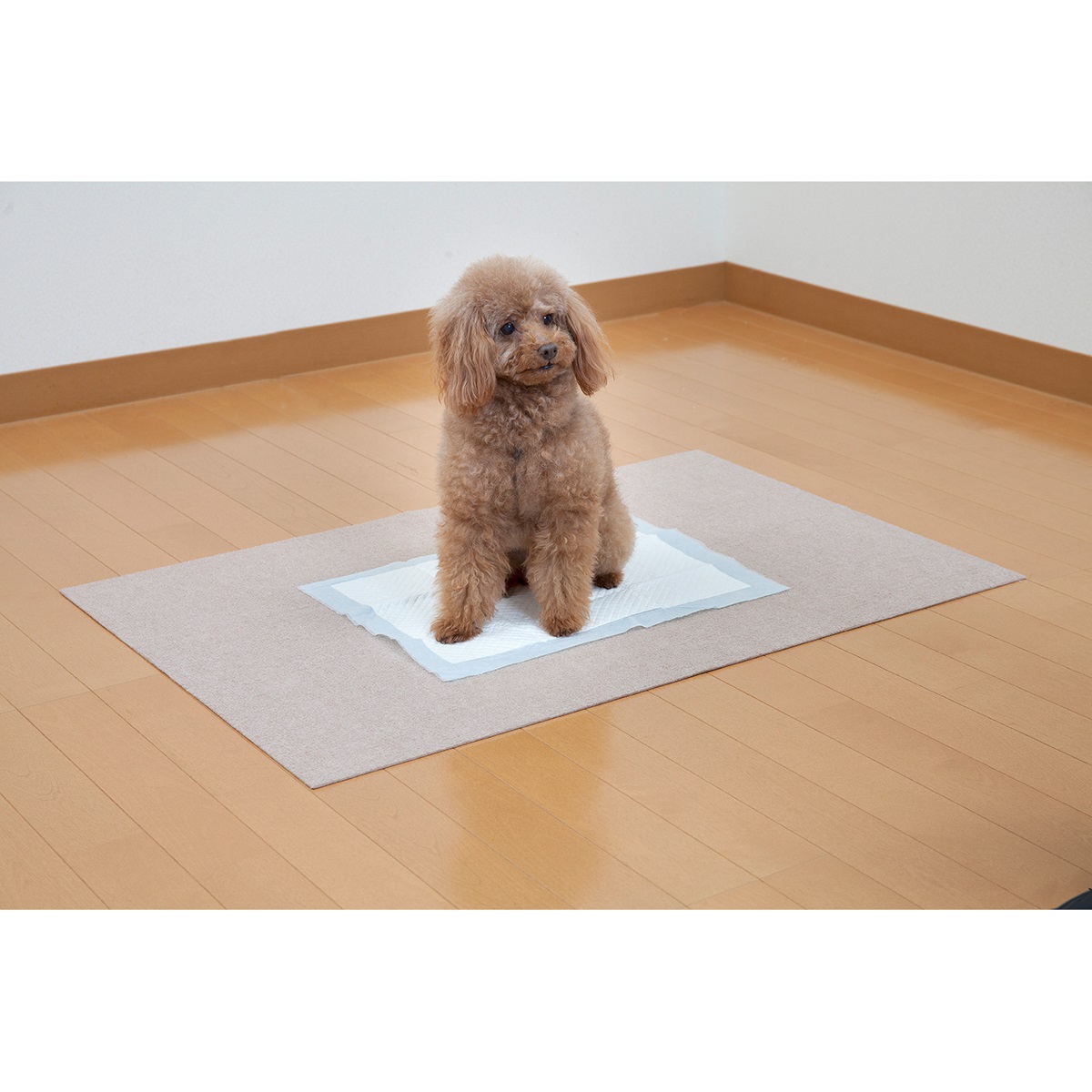 ペット用トイレ下敷きマット