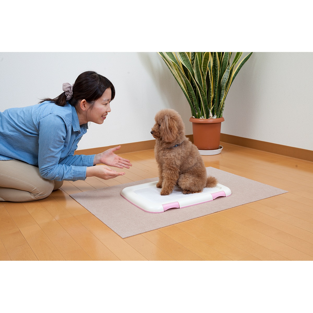 ペット用トイレ下敷きマット
