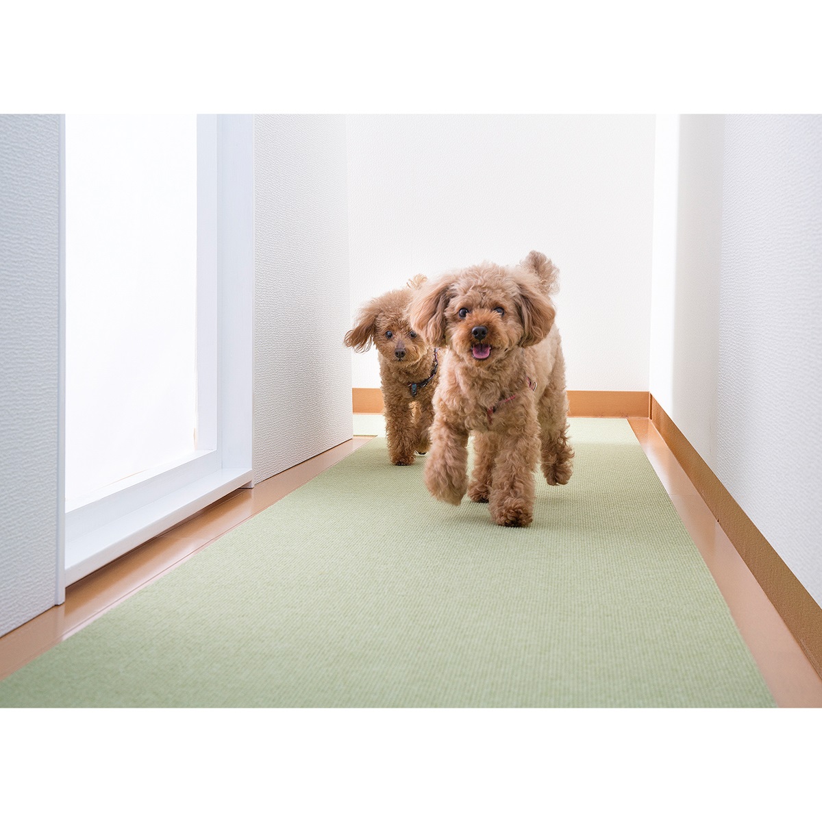 ペット用床保護マット60×180cm