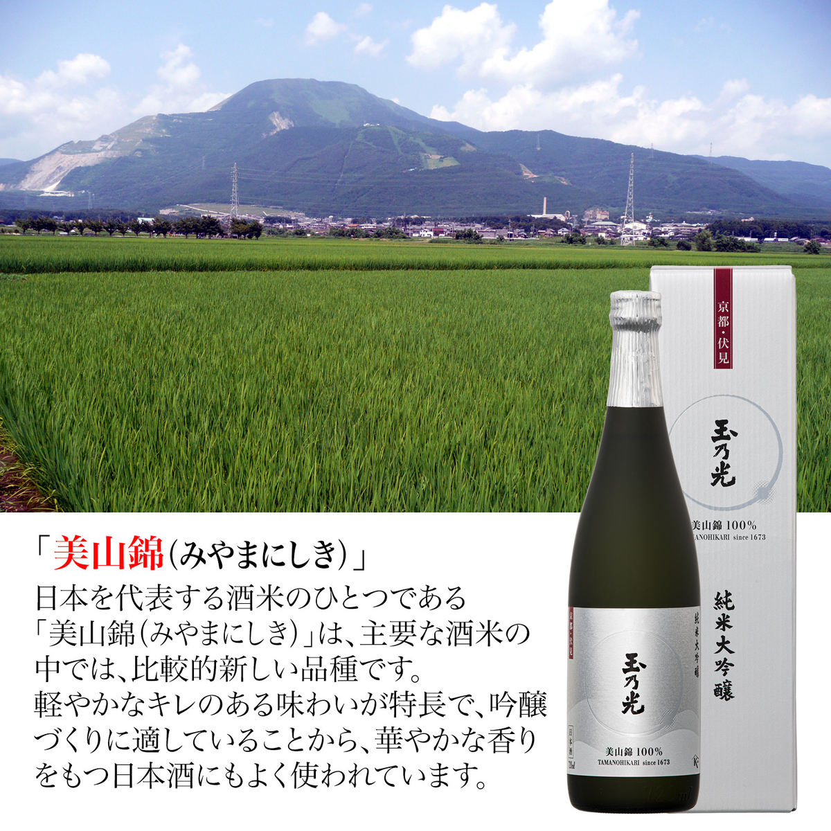 玉乃光 純米大吟醸 美山錦100％ 720ml 化粧箱入り 【日本酒 京都府