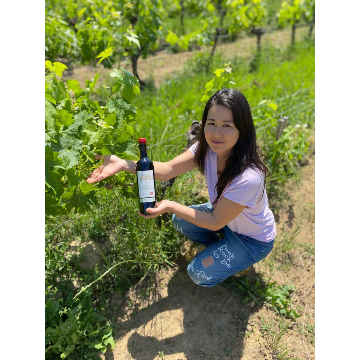 シャトー・ジンコ　2022　750ml　【赤ワイン　フランス】