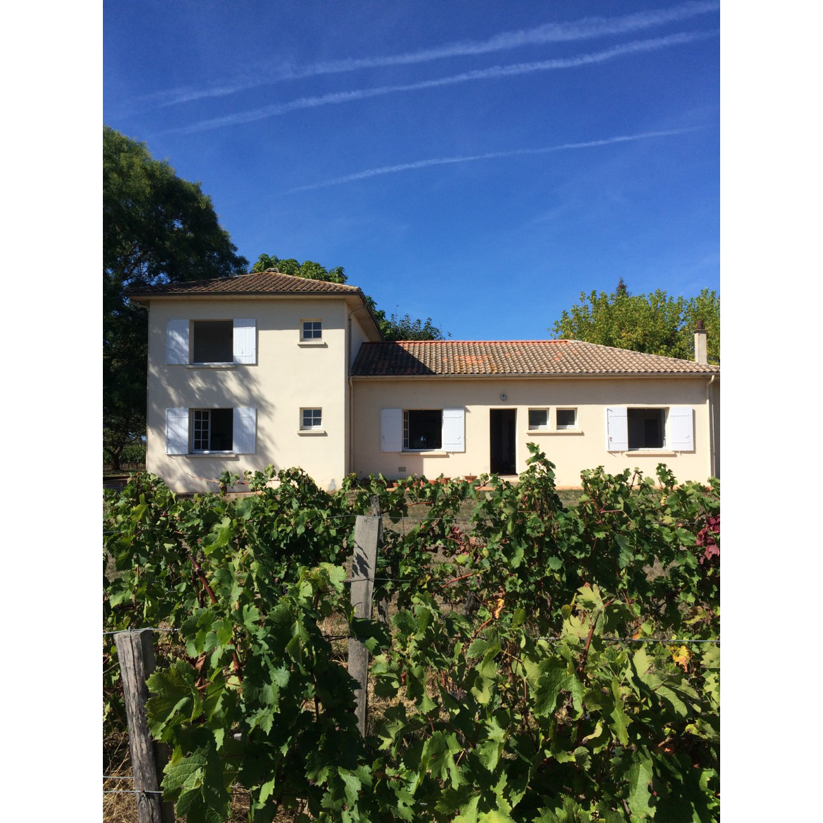 エンソー　ユリグサ　ブリュット・ナチュール　750ml　【スパークリング　フランス】