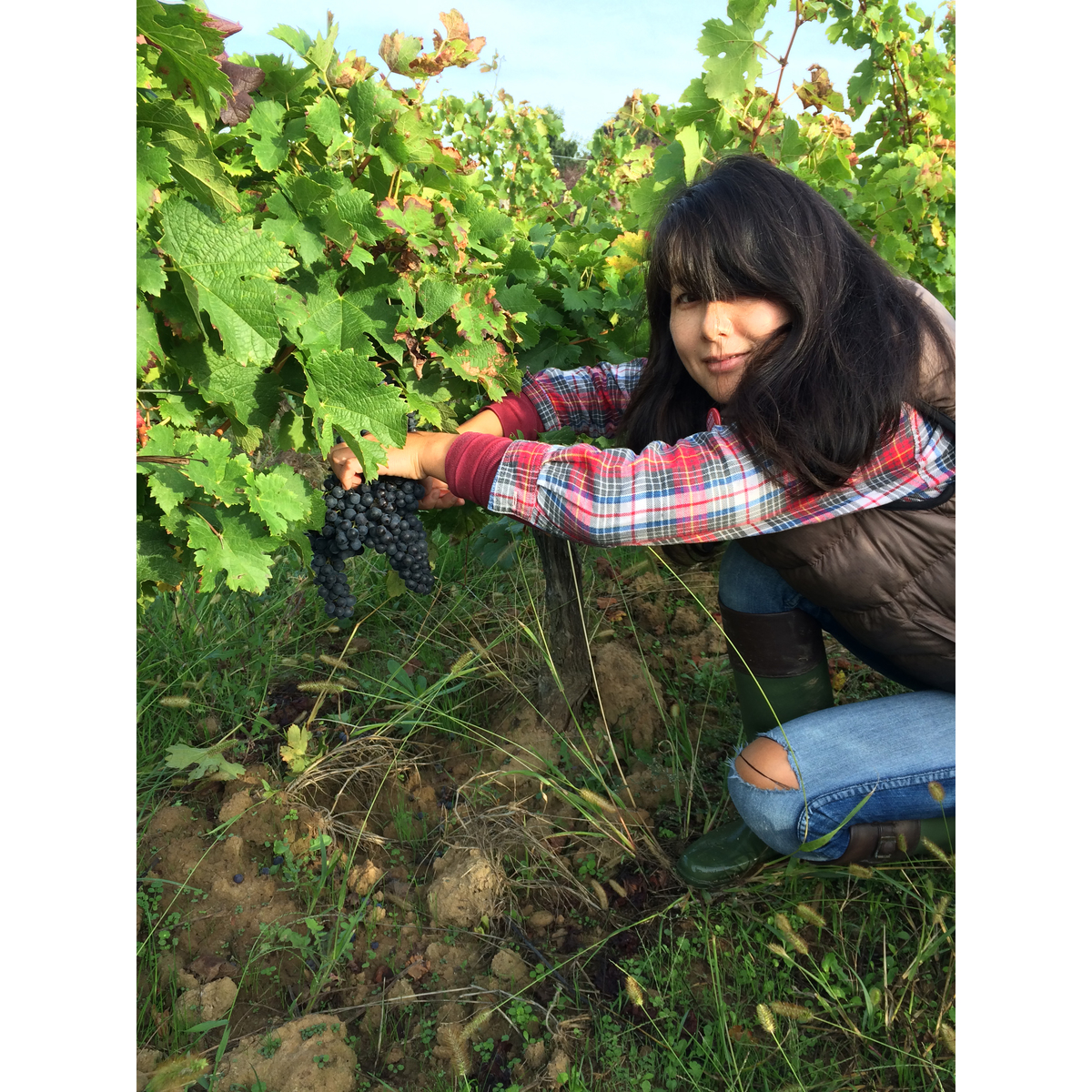 ジー・バイ・ユリグサ　ブラン　750ml　【白ワイン　フランス】