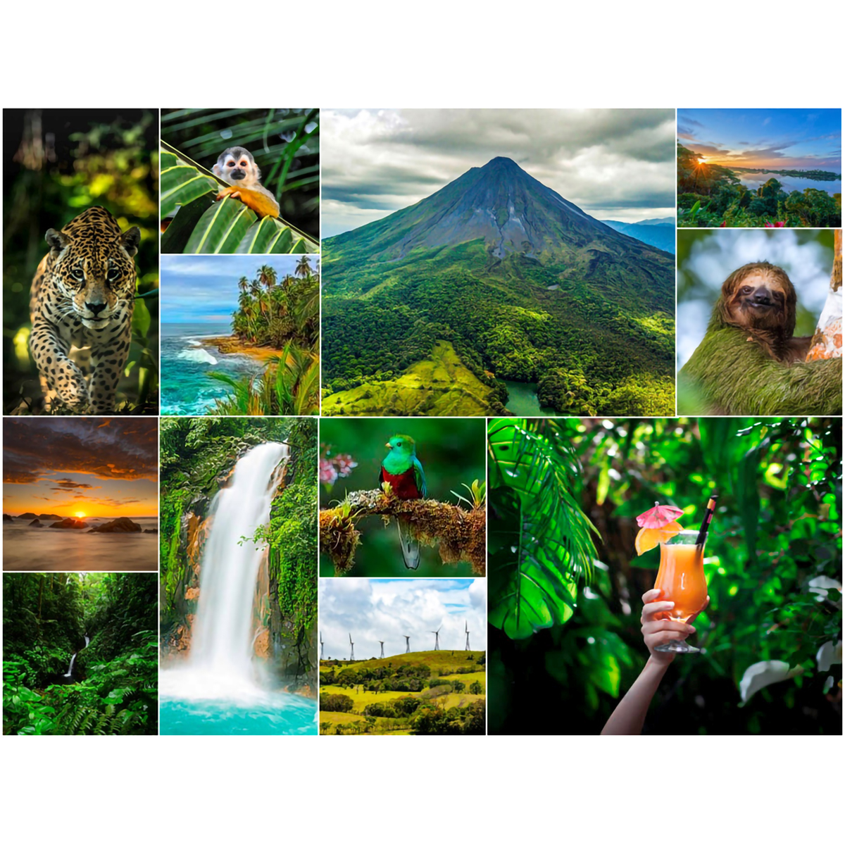 ロイヤル・センテナリオ 12年 グランレガド　40度　700ml　【ラム　コスタリカ】