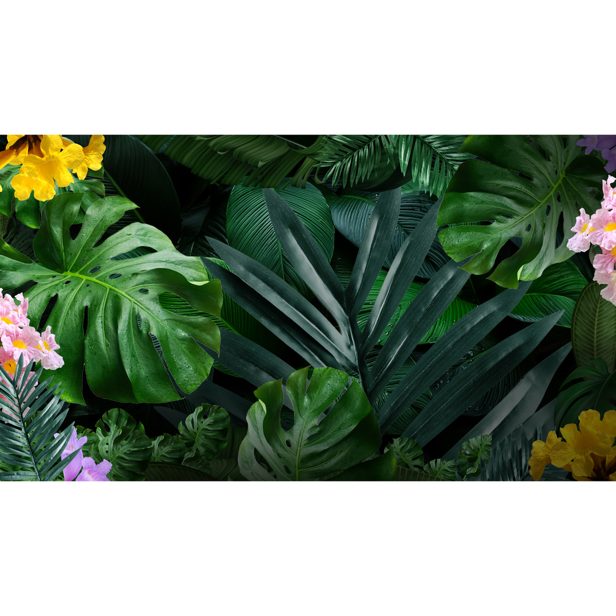 ロイヤル・センテナリオ 12年 グランレガド　40度　700ml　【ラム　コスタリカ】