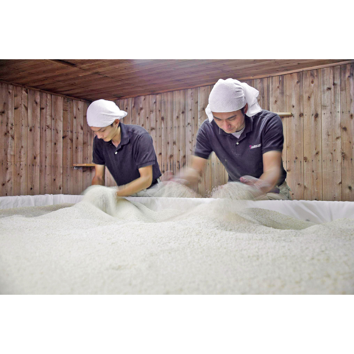 堤酒造　白晴レ(しろっぱれ)　25度　720ml【芋焼酎　熊本県】