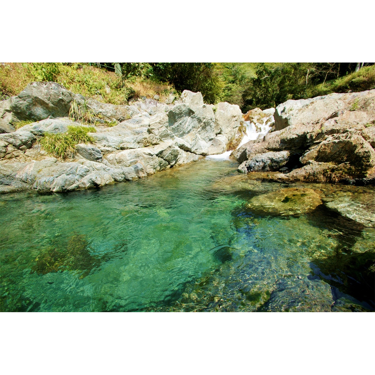 堤酒造　赤ワイン酵母仕込みむらさきいも25度　720ml【芋焼酎　熊本県】