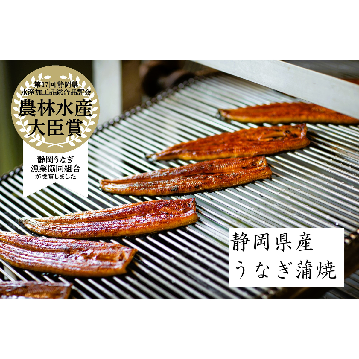 冷凍】静岡県産 うなぎ長蒲焼2Pセット 270511 | かぜとゆきオンライン