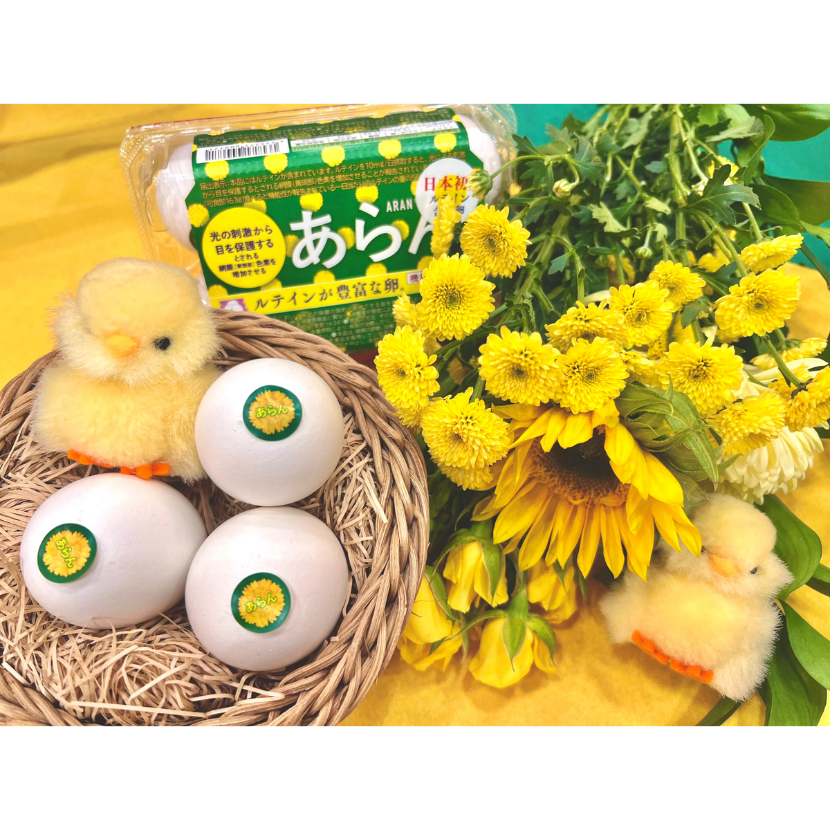 【直送】【農場直送卵】ルテインが豊富な卵「あらん」（機能性表示食品）6個入り・6パック