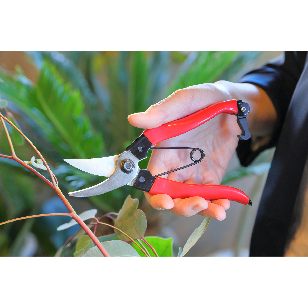 剪定用おてつだい鋏　180mm(高儀)