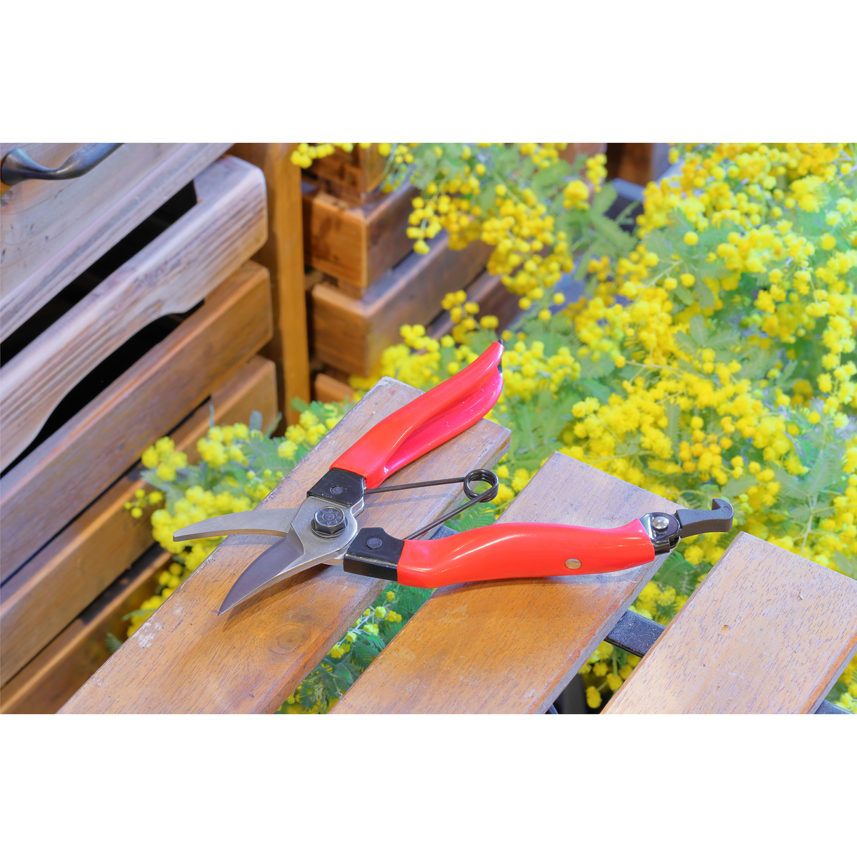 剪定用おてつだい鋏　180mm(高儀)