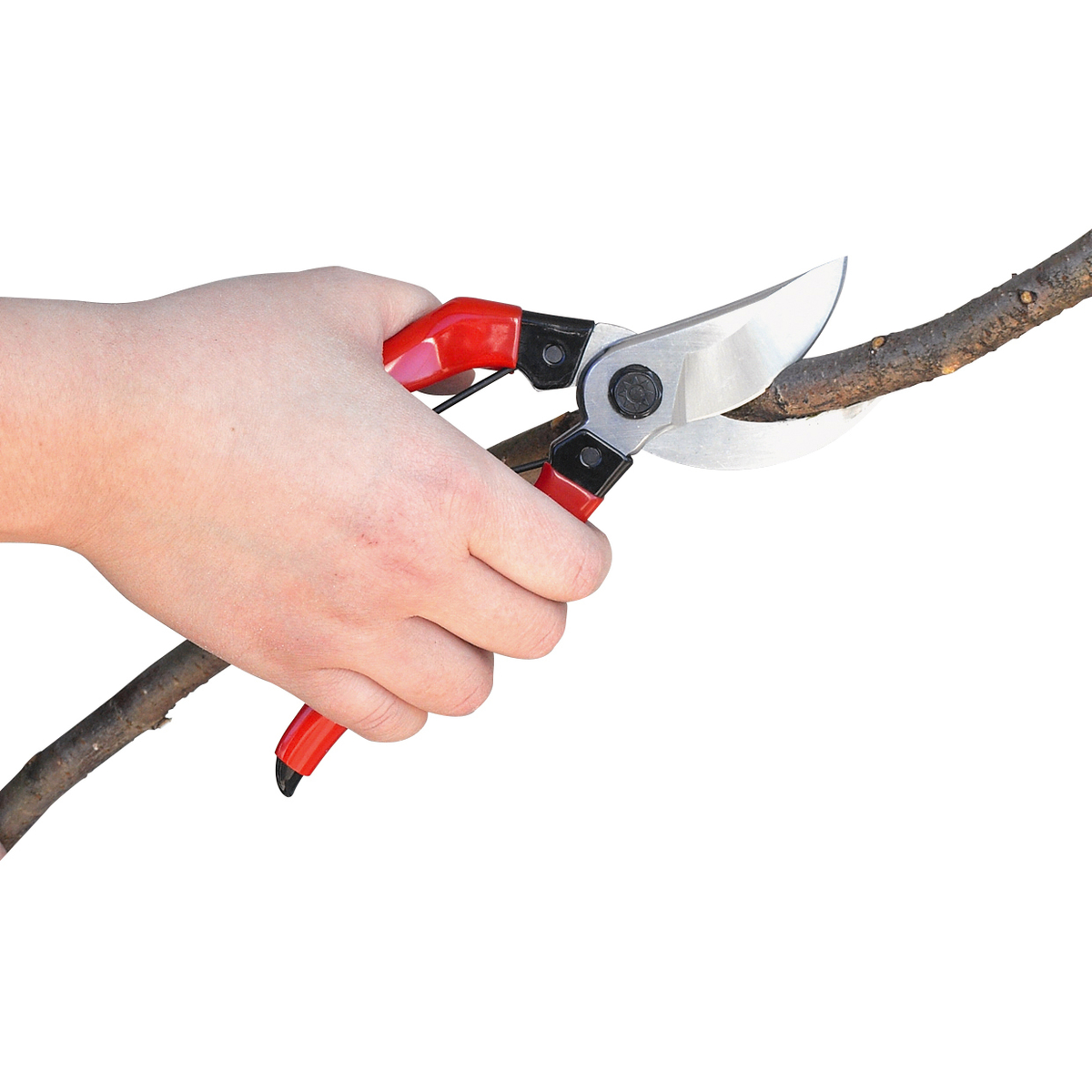 剪定鋏　200mm(高儀)