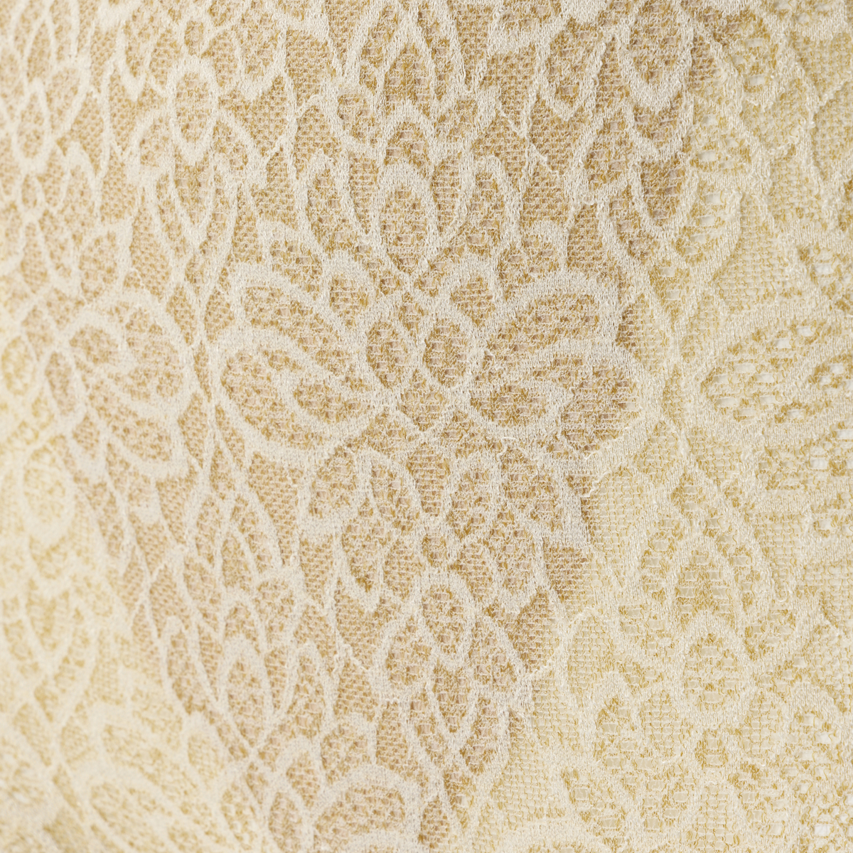 完全無縫製ソフトサポートレースショーツ