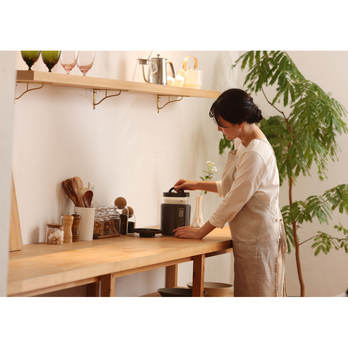 タニカ電器　発酵食メーカー　KAMOSICO　スタンダードセット