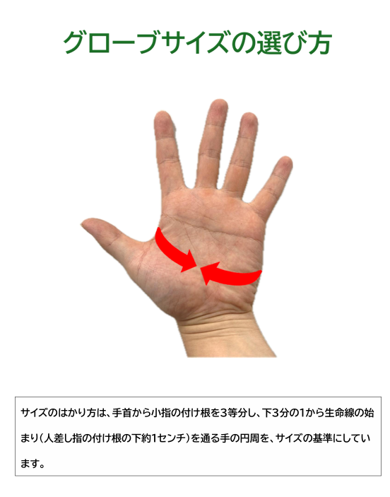 グローブサイズの選び方