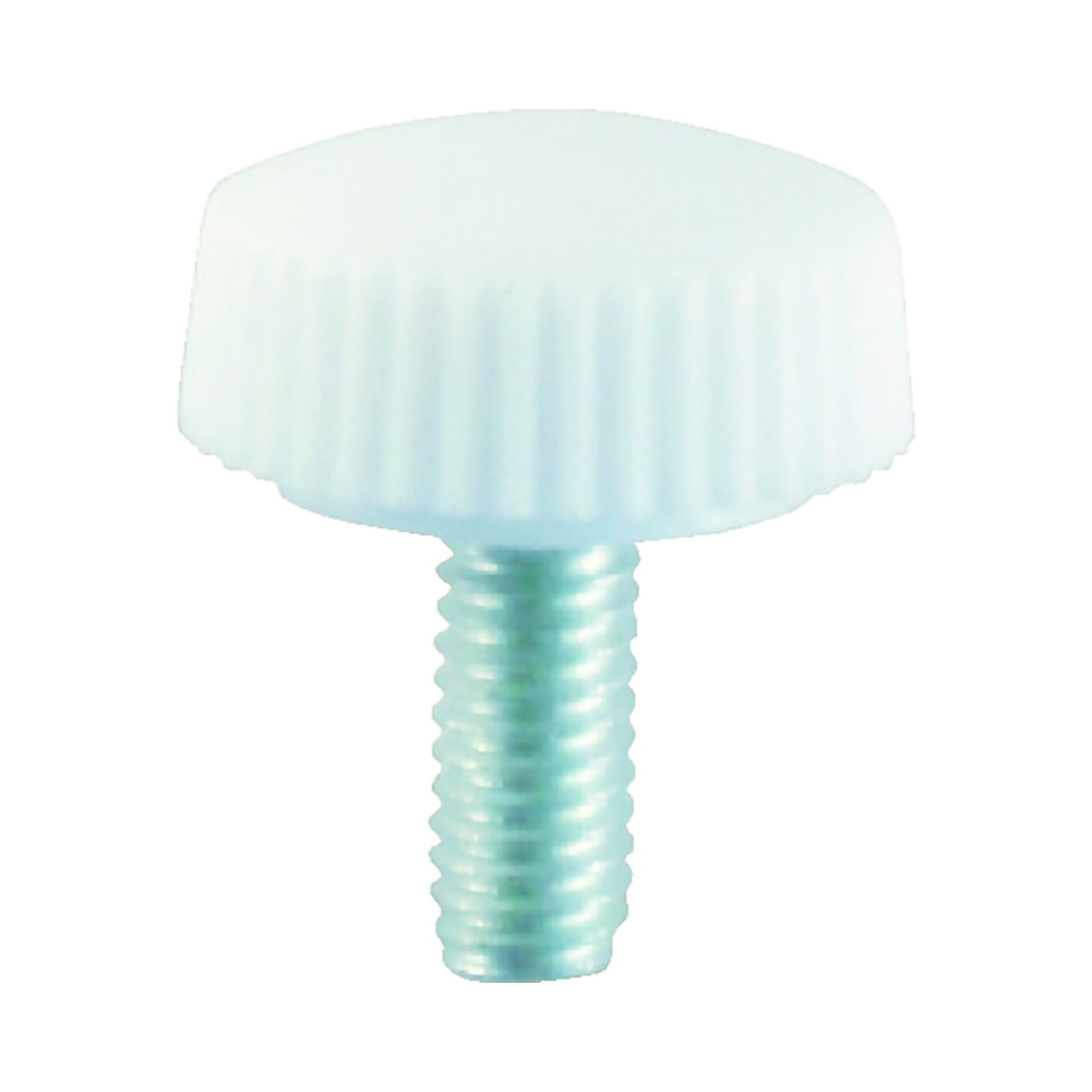 化粧ビス　ＮＯ．２　白　Ｍ４×８　３０個入