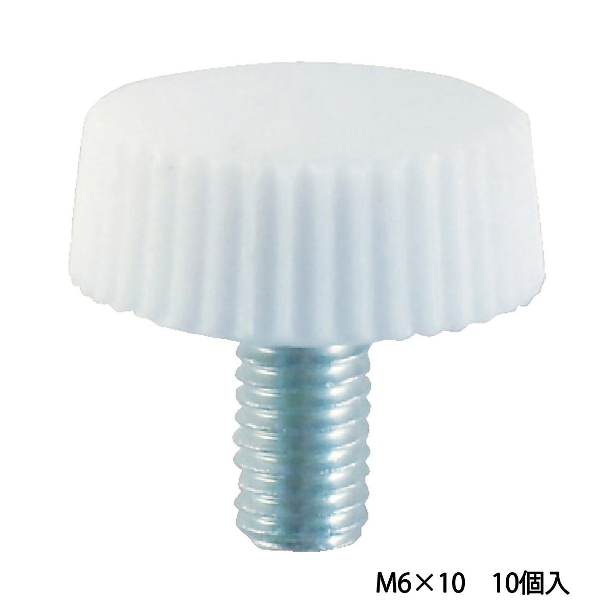 化粧ビス　ＮＯ．３　白　Ｍ６×１０　１０個入