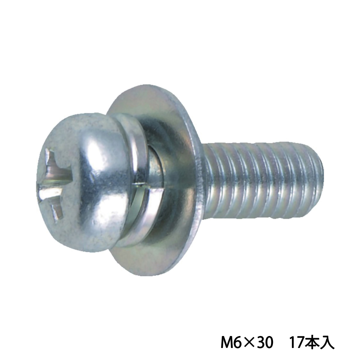 ナベ頭座金組込ねじ　Ｐ－３　三価　白　Ｍ６×３０　１７本入　（ばね座金＋ＪＩＳワッシャー付き）