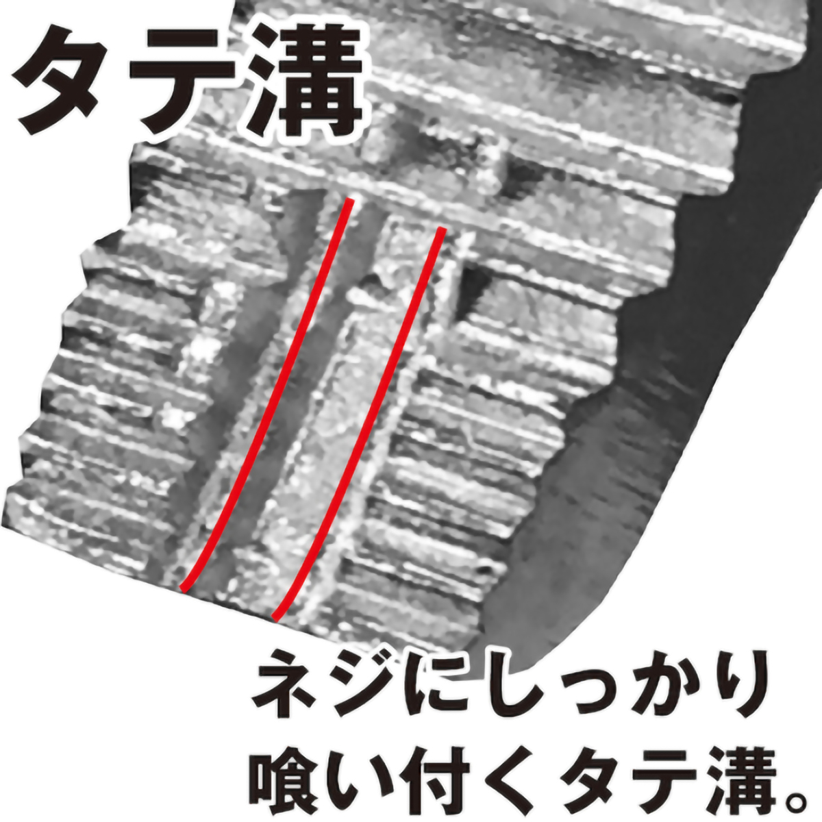 プライヤー　ネジザウルスＶＰ－１