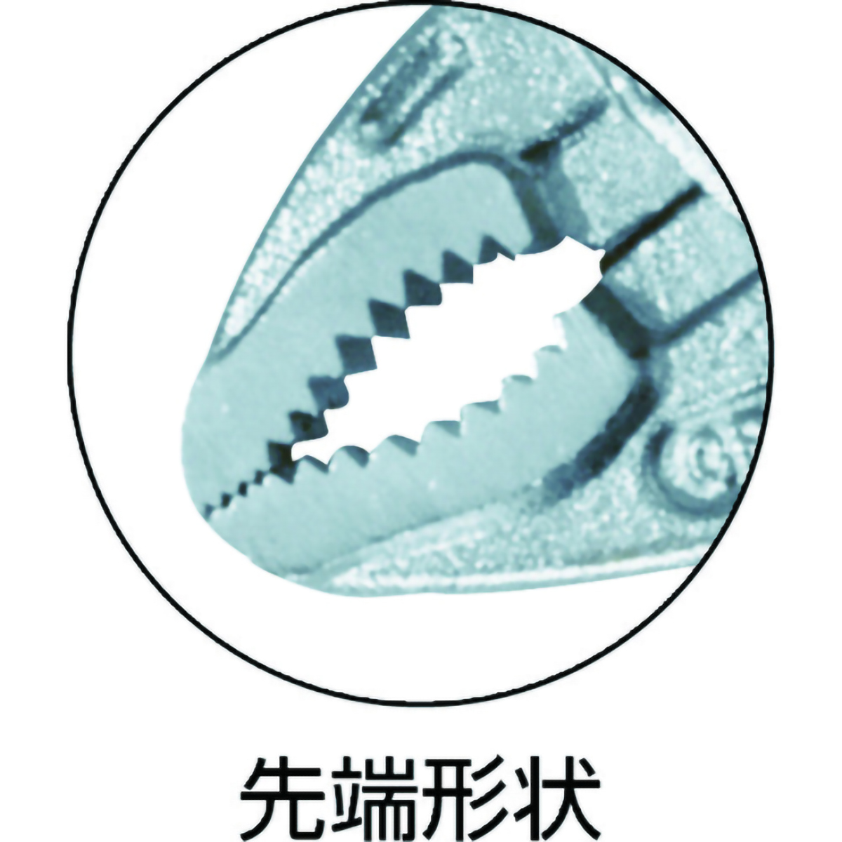 プライヤー　ネジザウルスＶＰ－１