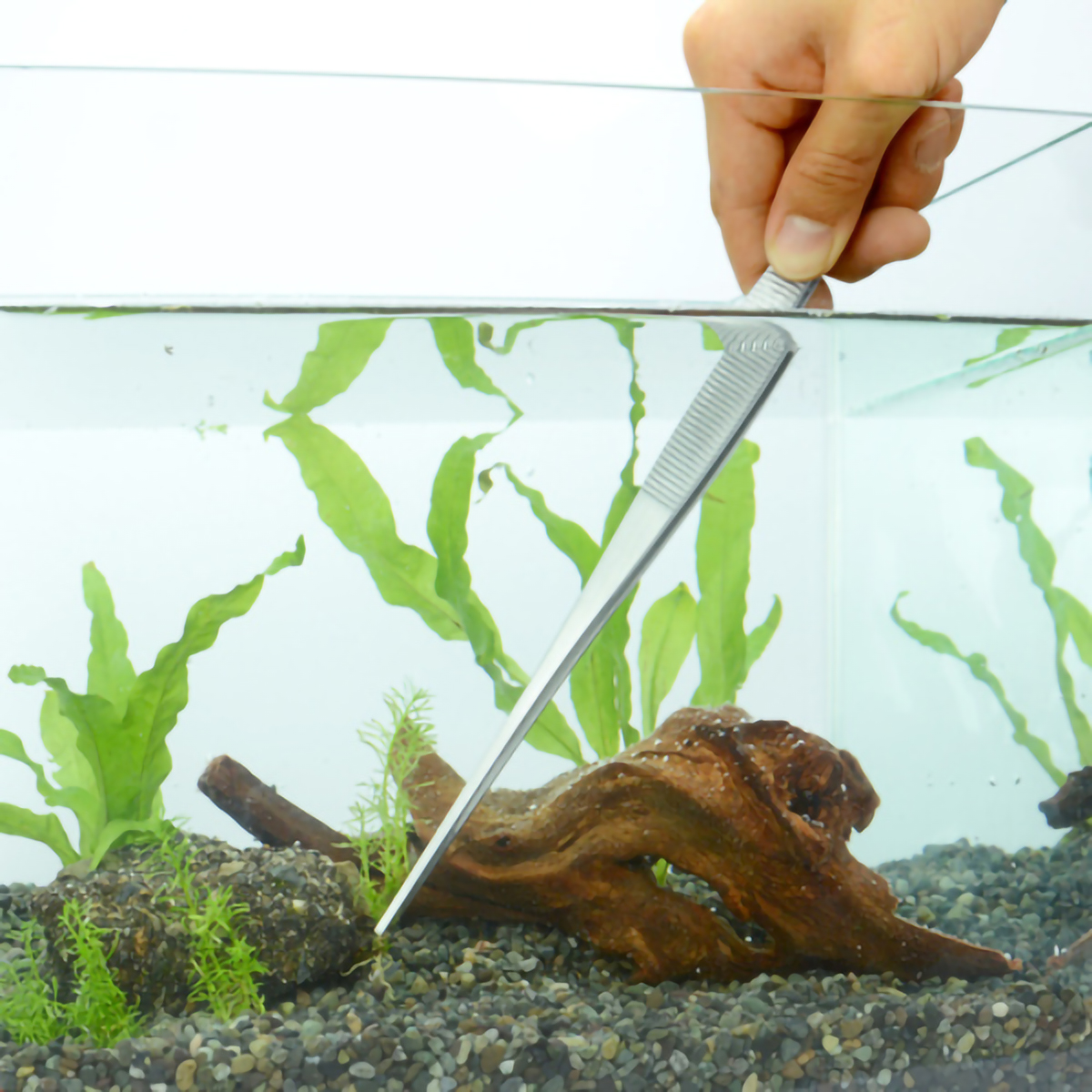 ステンレスピンセット　ロング３００ｍｍ直（先端ギザ）