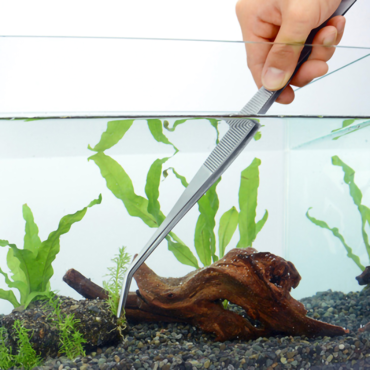 ステンレスピンセット　ロング３００ｍｍ先曲（先端ギザ）