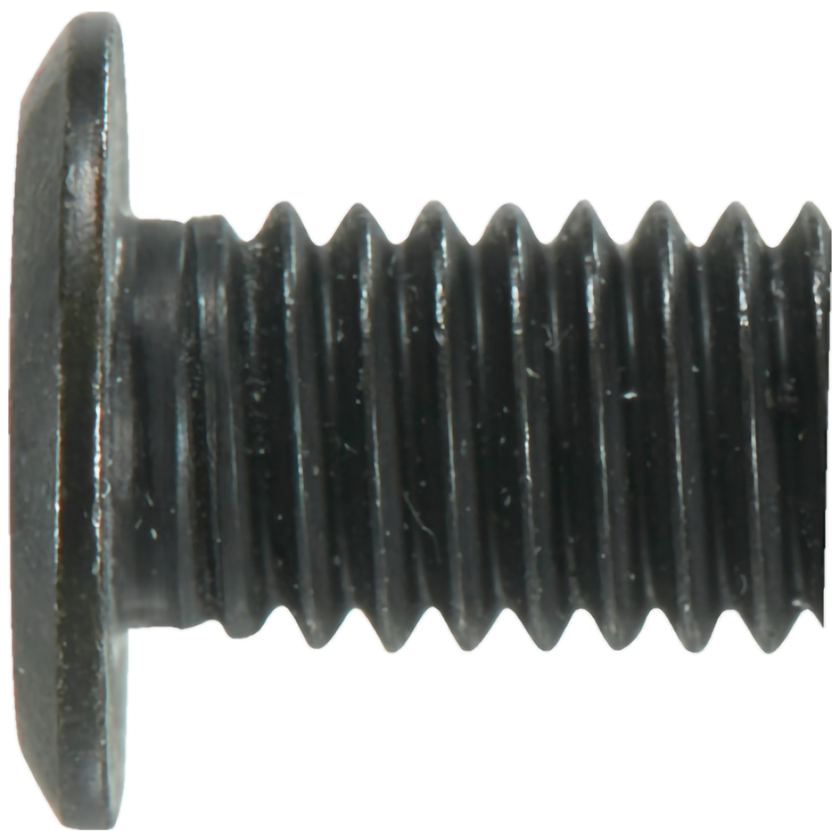 ヘックスローブ超極低頭ねじ　ステンレス　黒染　Ｍ５×１６　１０本入