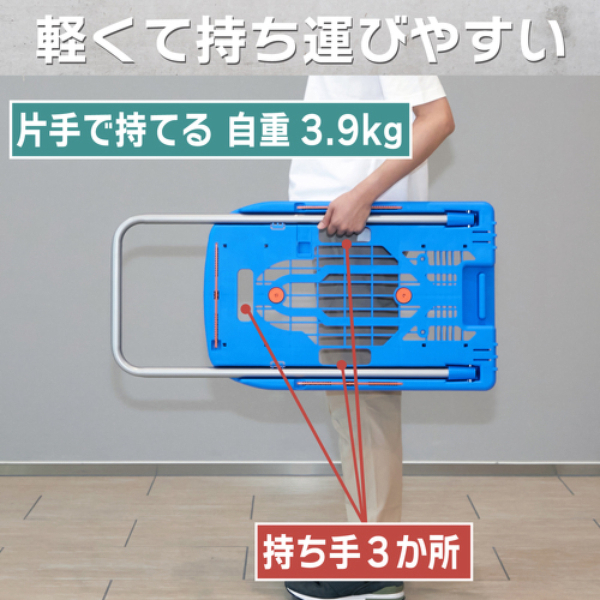 こまわり君（新型）　６００Ｘ３９０　ブルー