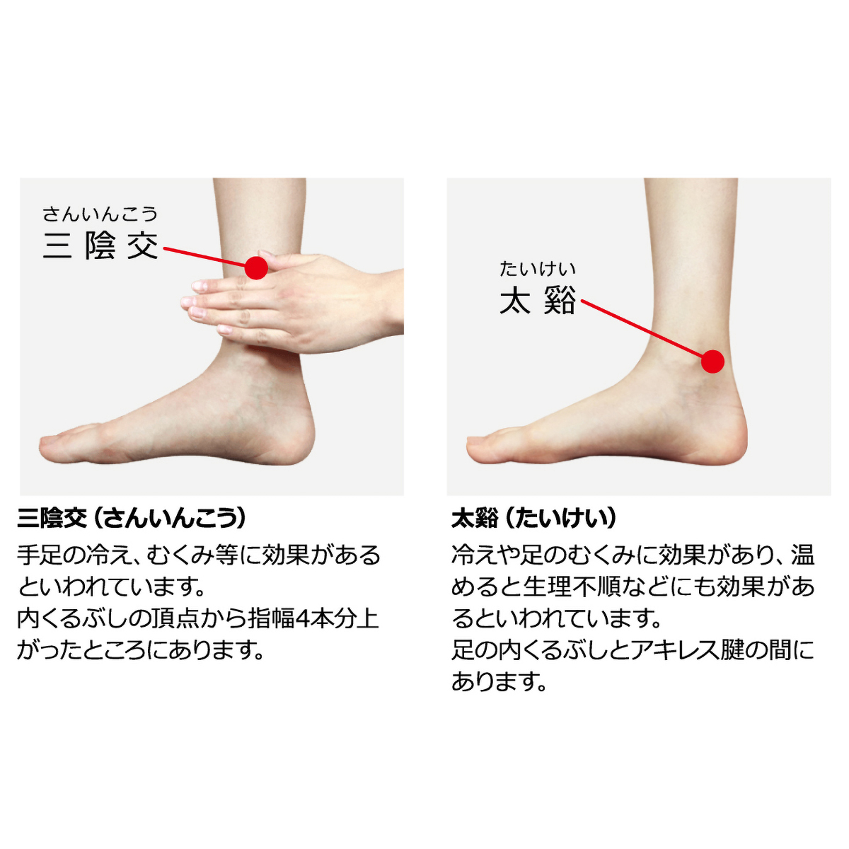 レグぽか・ミニ