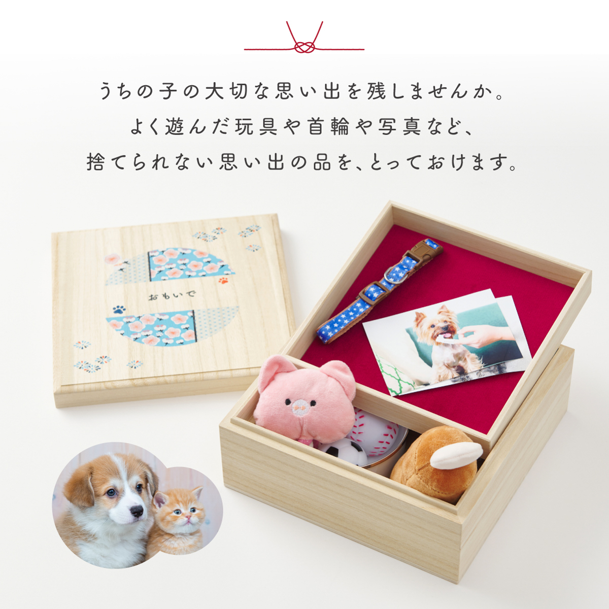 ワンにゃんおもいで入れ