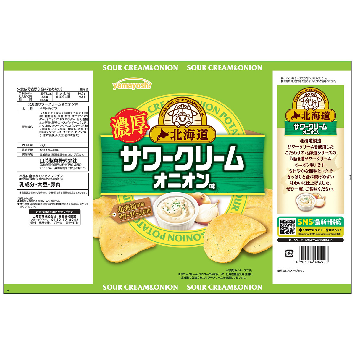 ポテトチップス　北海道サワークリームオニオン味