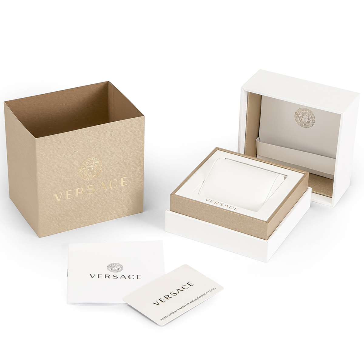 VERSACE ヴェルサーチェ 腕時計 P5Q99D001S001