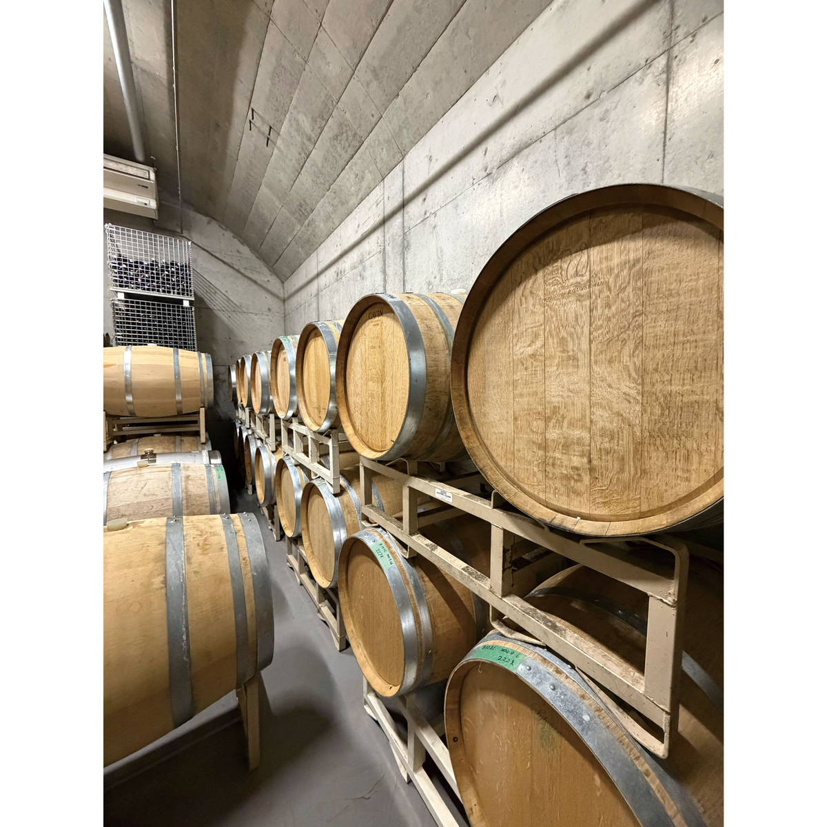 Vinoble Rouge Type BDX 2024 750ml 【国産赤ワイン 広島県】 | かぜと