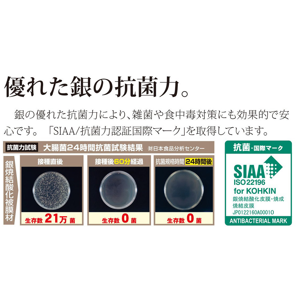 【ビタクラフト】ハイブリットナイフ　マルチナイフ（16cm）