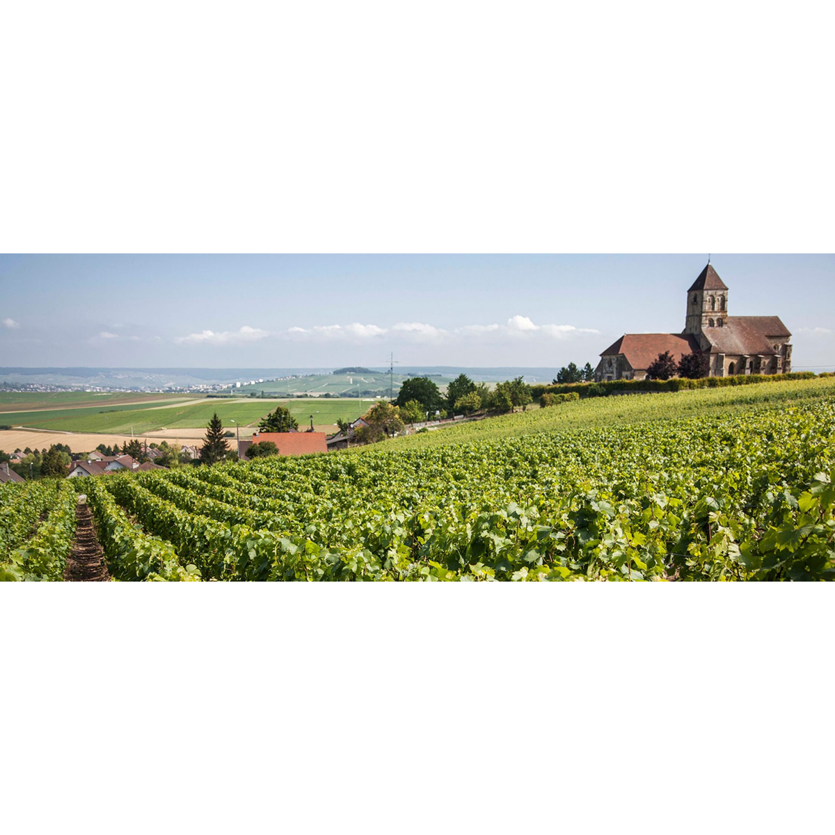 ボランジェ スペシャル・キュヴェ 750ml 化粧箱入り【スパークリング　フランス】