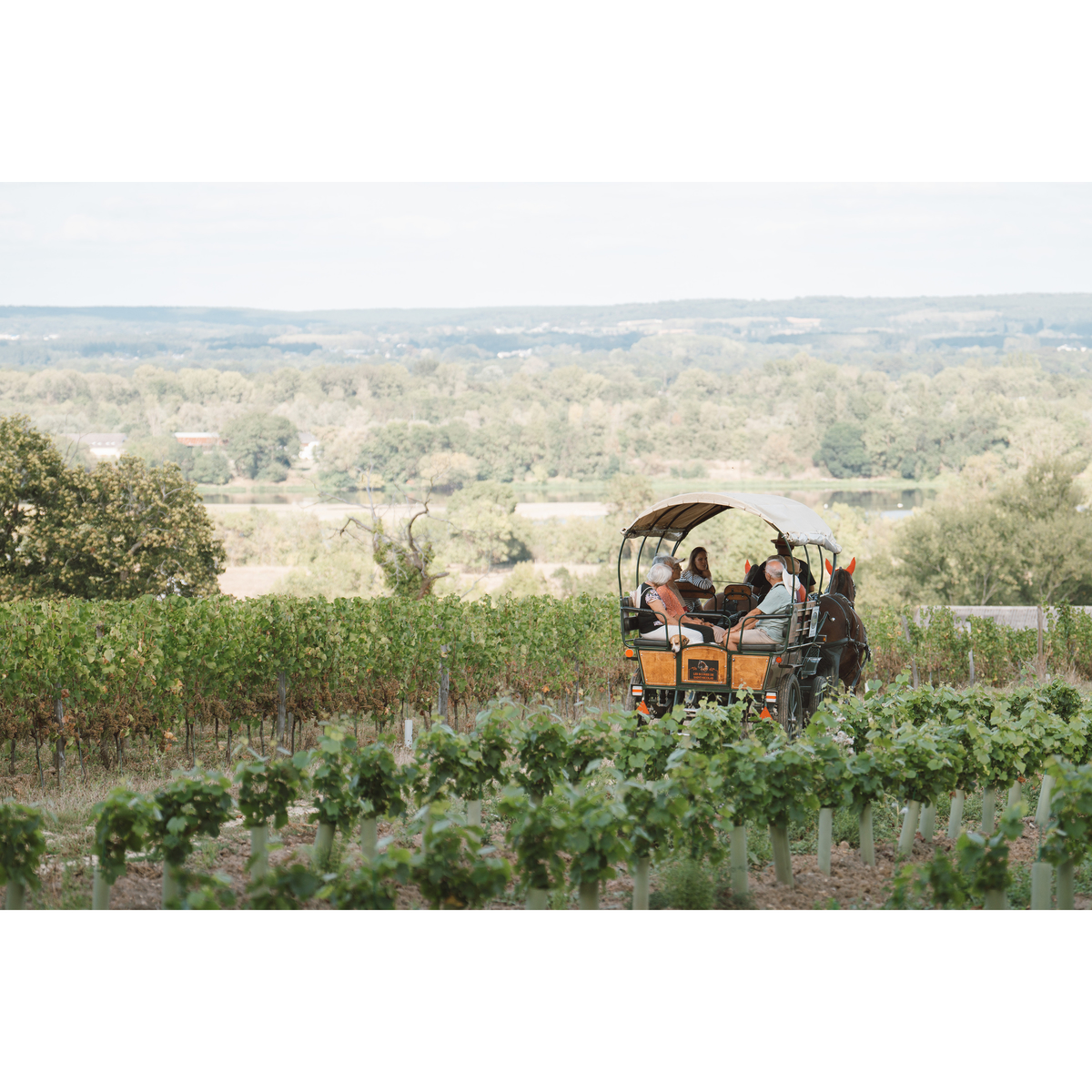 ラングロワ　クレマン・ド・ロワール ブリュット・レゼルヴ  750ml【スパークリング　フランス】