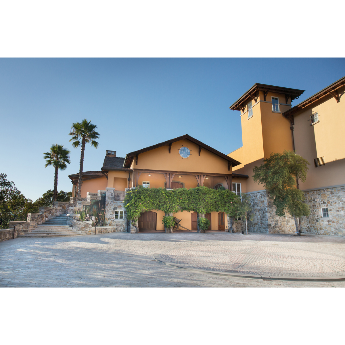 シルヴァラード・ヴィンヤーズ ソーヴィニヨン・ブラン  エステート・グロウン ミラー・ランチ ヨントヴィル ナパ・ヴァレー  750ml【白ワイン　アメリカ】