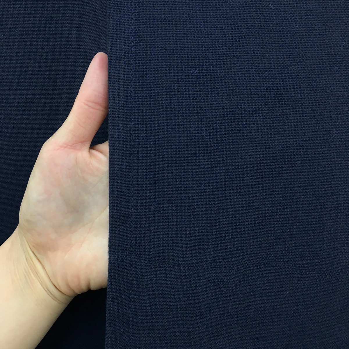 紬のれん】 飛鳥 幅85×丈150cm | かぜとゆきオンラインショップ
