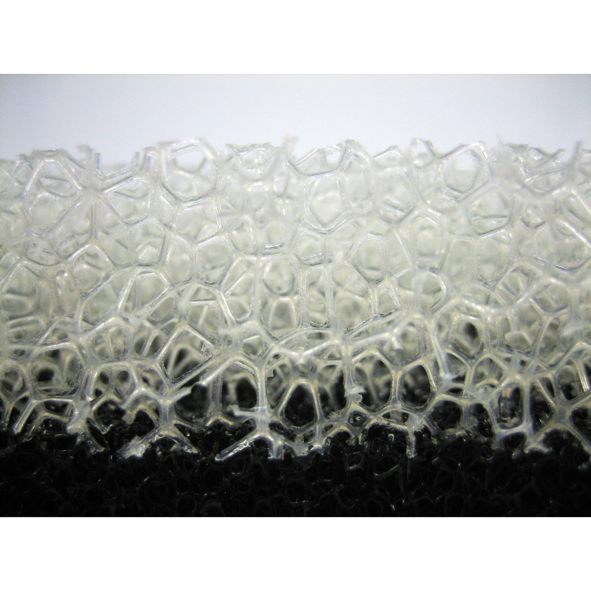 ASSO 泡立つキッチンスポンジ