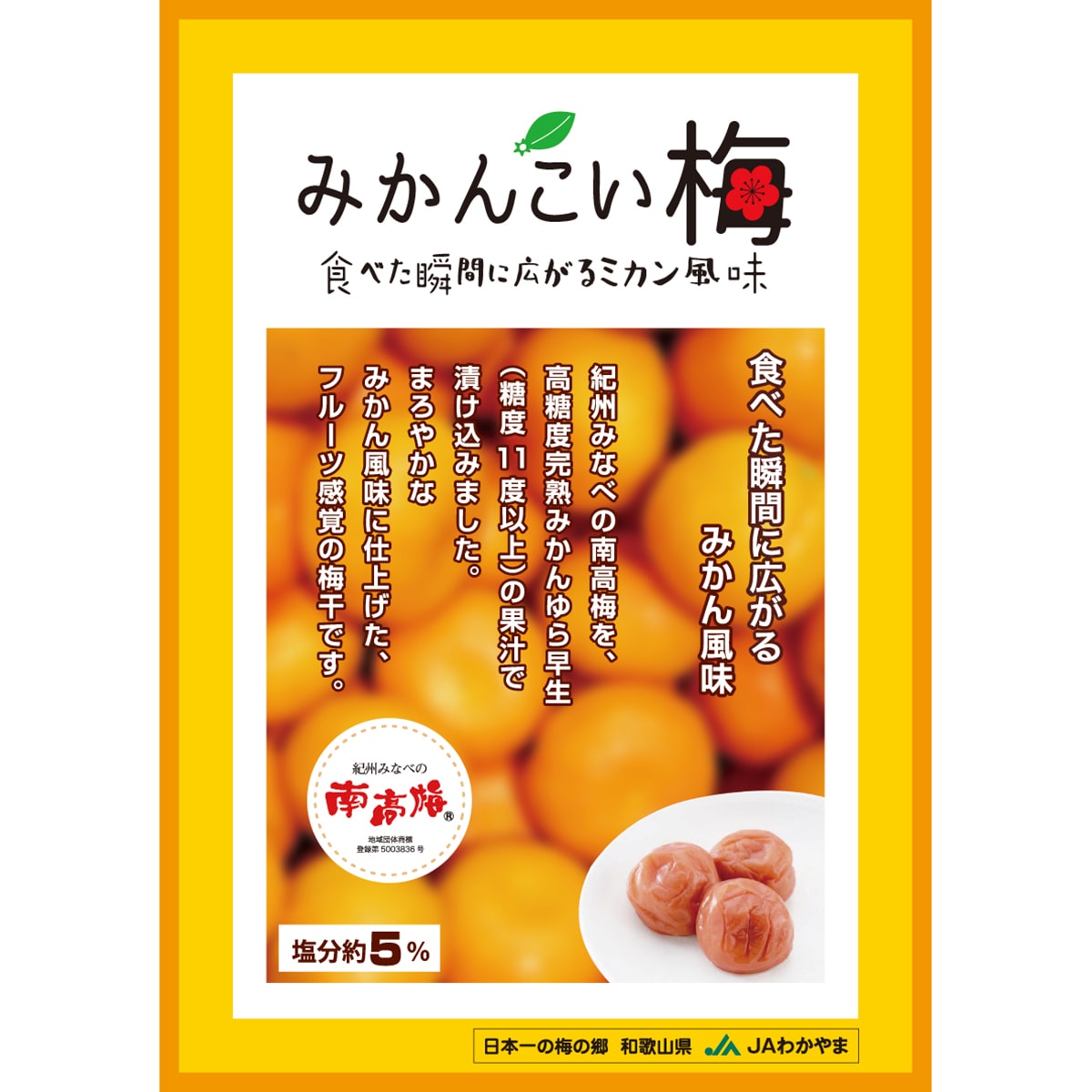 紀州みなべの南高梅 みかんこい梅 300g ＜JA紀州 和歌山県農業協同組合