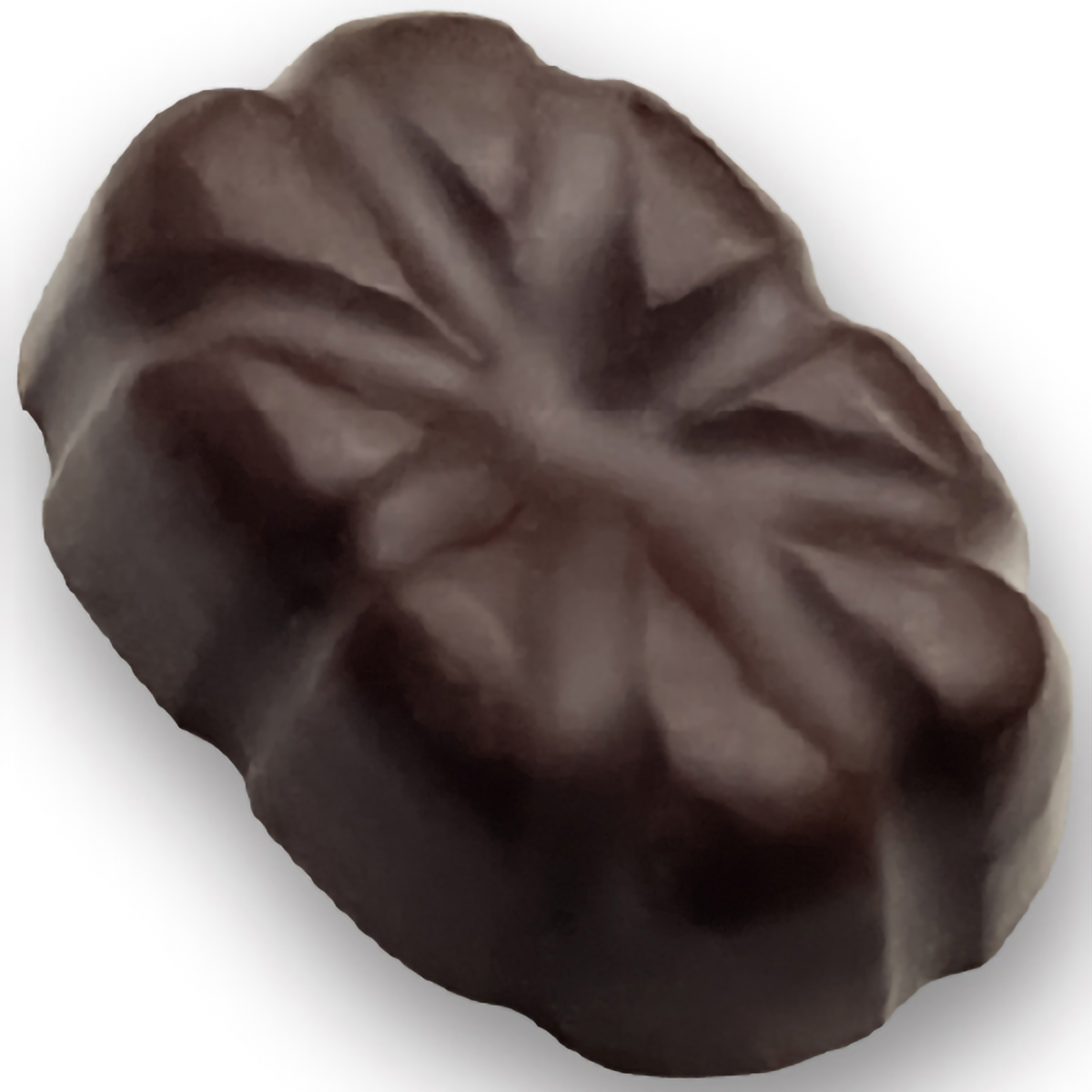 アガベダークチョコレート75％　20粒