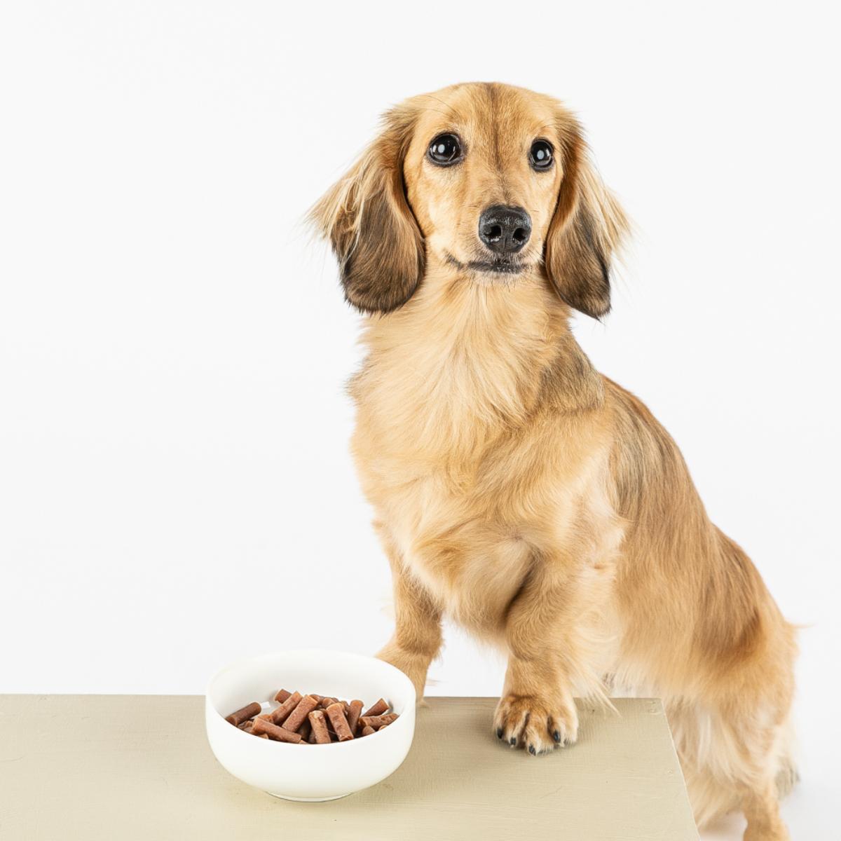 ＨａｐｐｙＤａｙｓ　ＯｌｉｖｅＰｅｔ　プレミアム　オッティモ成犬用１００ｇ