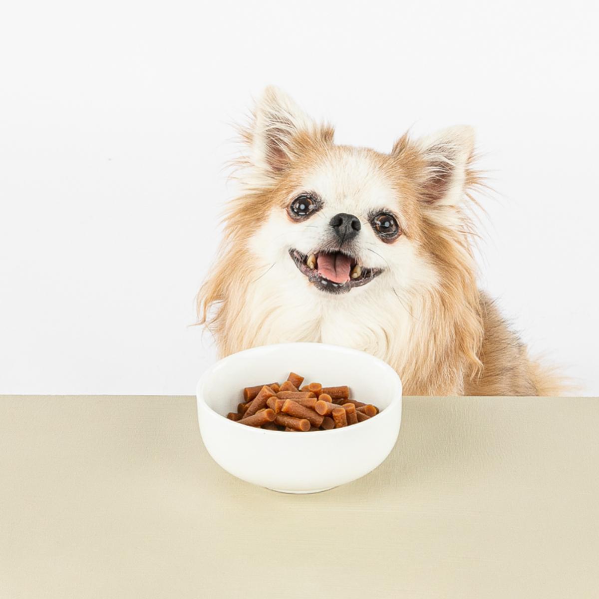 ＨａｐｐｙＤａｙｓ　ＯｌｉｖｅＰｅｔ　プレミアム　オッティモ高齢犬用９０ｇ