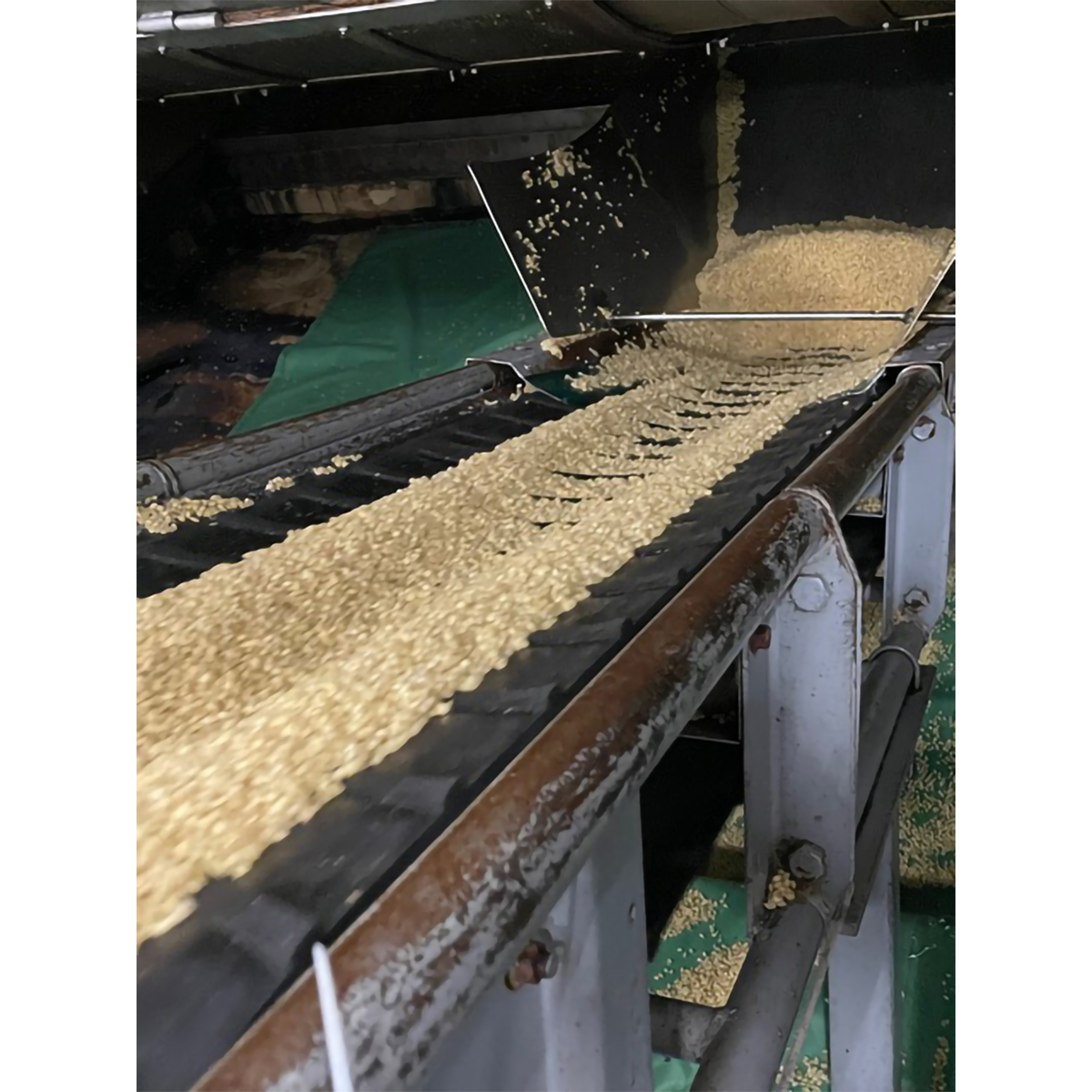 八鹿酒造 銀座のすずめガスライト35度 720ml 化粧箱入り【麦焼酎 大分県】